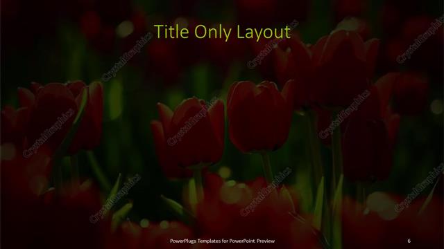 Title Only presentation slide layout