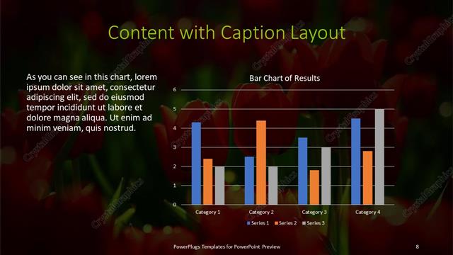 Content with Caption presentation slide layout