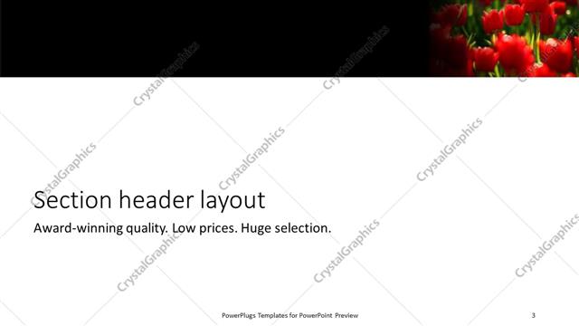 Section Header presentation slide layout