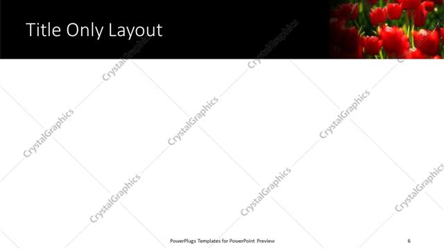 Title Only presentation slide layout