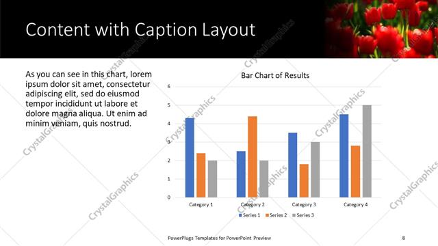 Content with Caption presentation slide layout