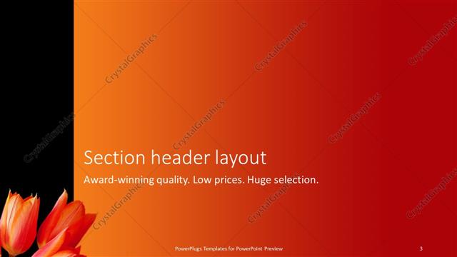 Section Header presentation slide layout