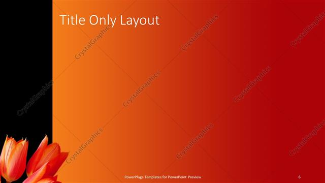 Title Only presentation slide layout