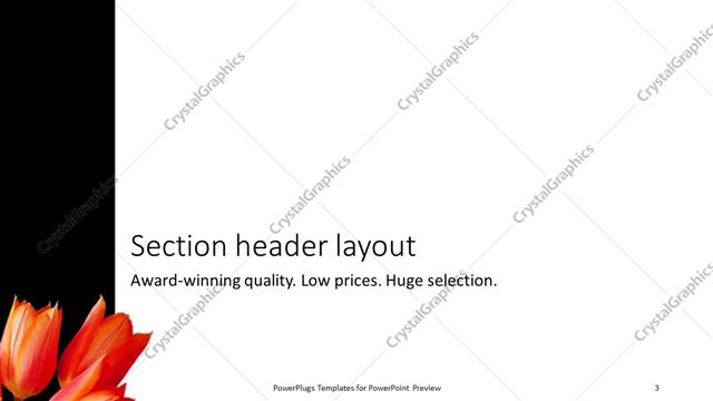 Section Header presentation slide layout