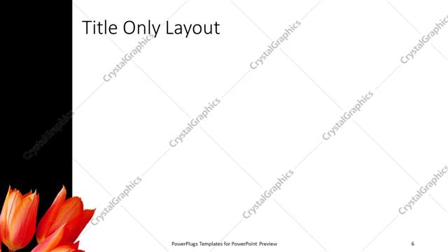 Title Only presentation slide layout