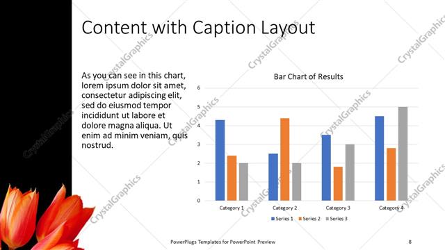 Content with Caption presentation slide layout
