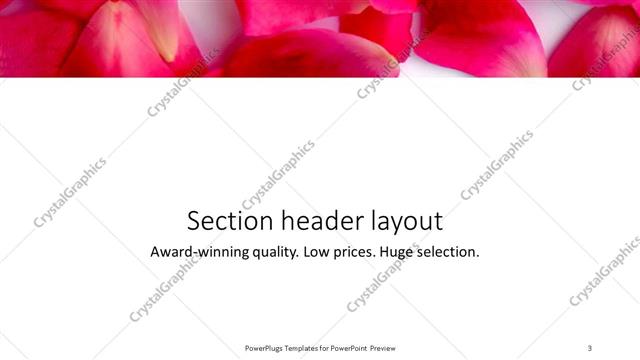 Section Header presentation slide layout