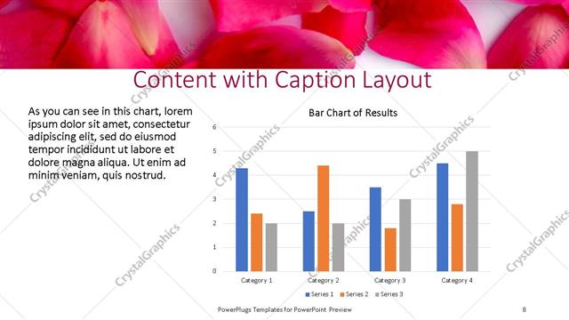 Content with Caption presentation slide layout