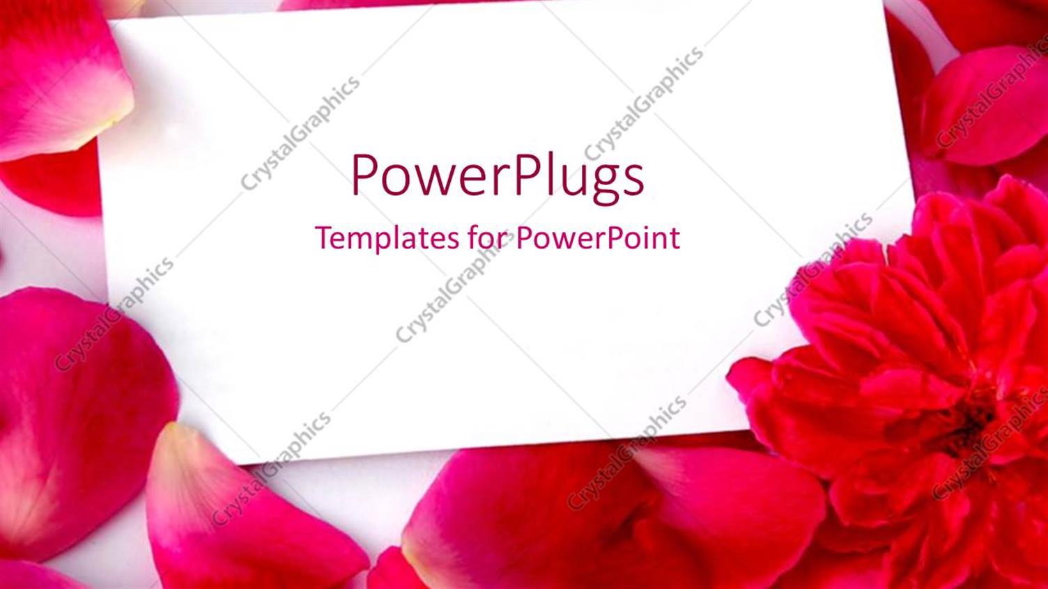 Premium Template for PowerPoint & Google Slides 
