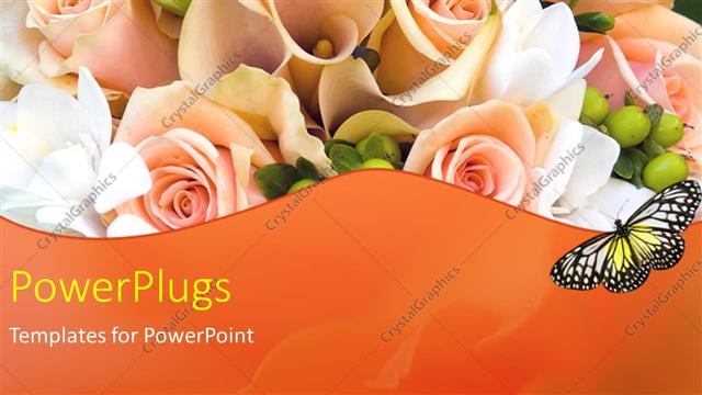  Presentation with roses - A number of roses with blackish background