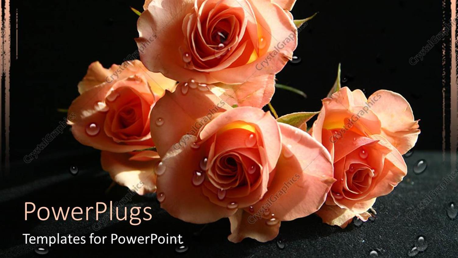 Premium Template for PowerPoint & Google Slides 