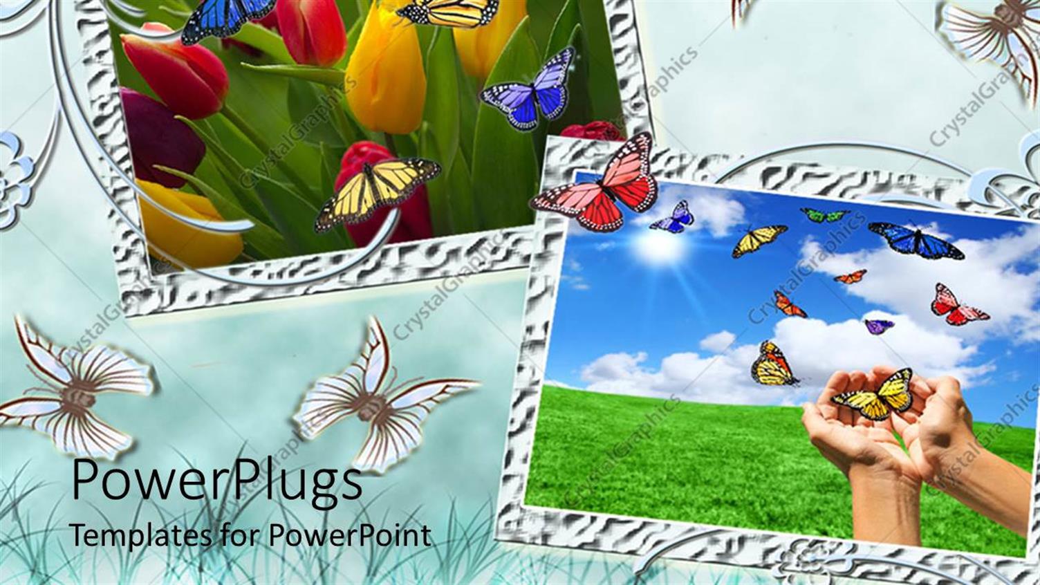 Premium Template for PowerPoint & Google Slides 