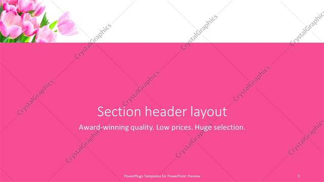 Section Header presentation slide layout