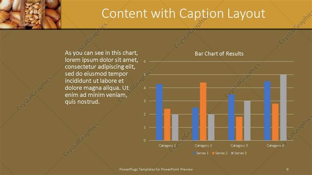Content with Caption presentation slide layout