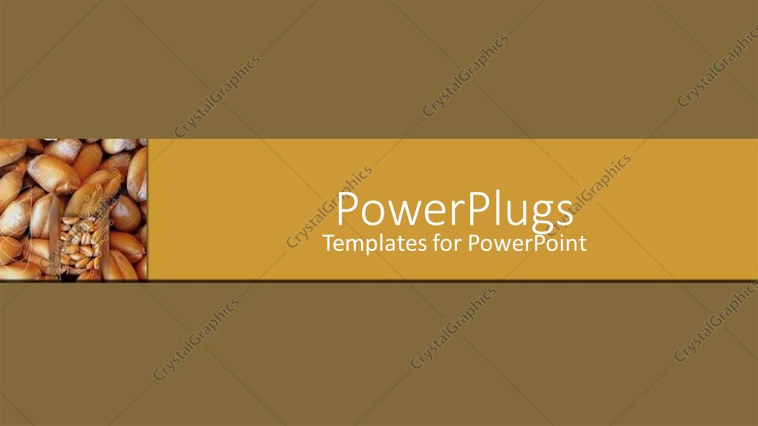 Premium Template for PowerPoint & Google Slides 