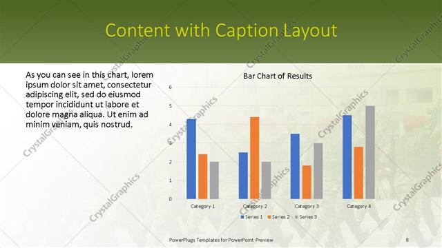 Content with Caption presentation slide layout