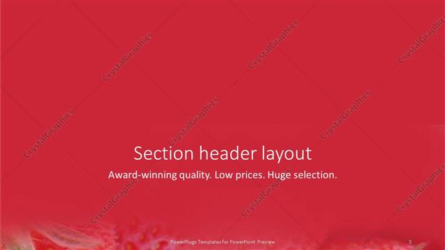 Section Header presentation slide layout