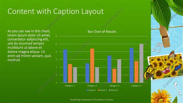 Content with Caption presentation slide layout