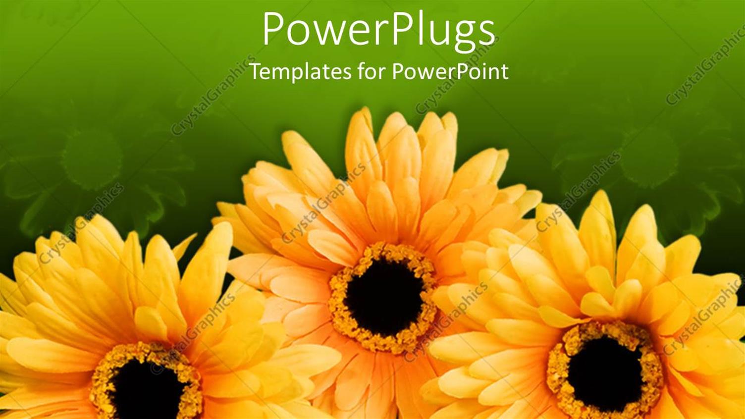 Premium Template for PowerPoint & Google Slides 