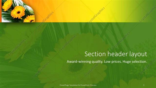 Section Header presentation slide layout