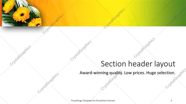 Section Header presentation slide layout