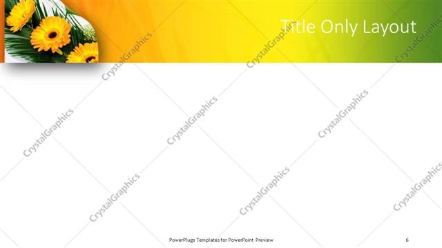 Title Only presentation slide layout