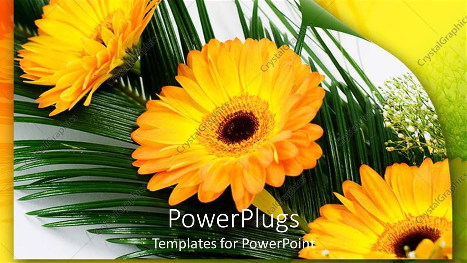 Premium Template for PowerPoint & Google Slides 