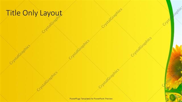 Title Only presentation slide layout