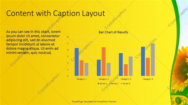 Content with Caption presentation slide layout