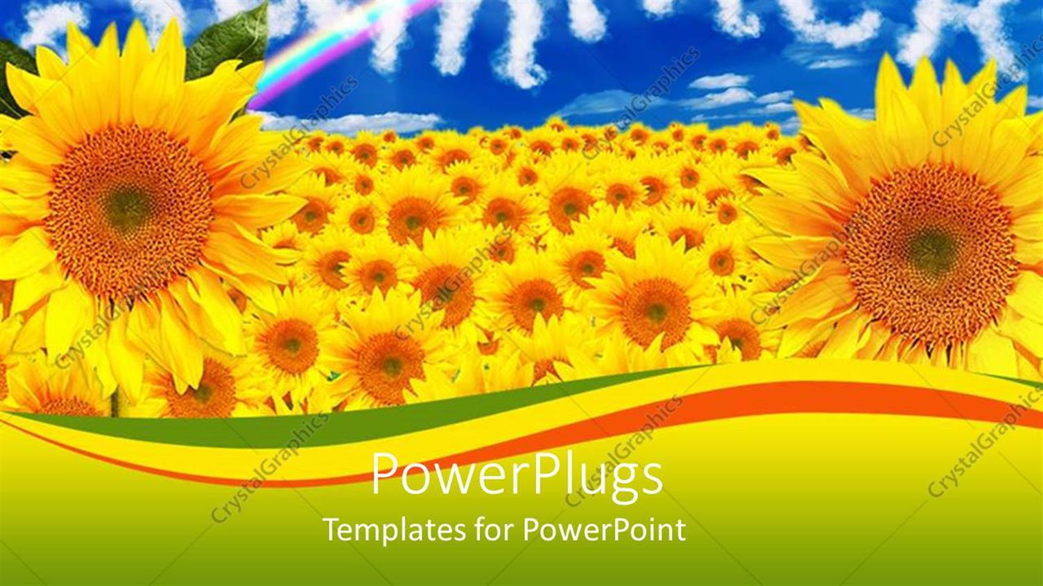 Premium Template for PowerPoint & Google Slides 