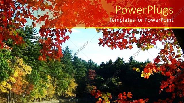  Presentation with nature river - A number of trees along with a river