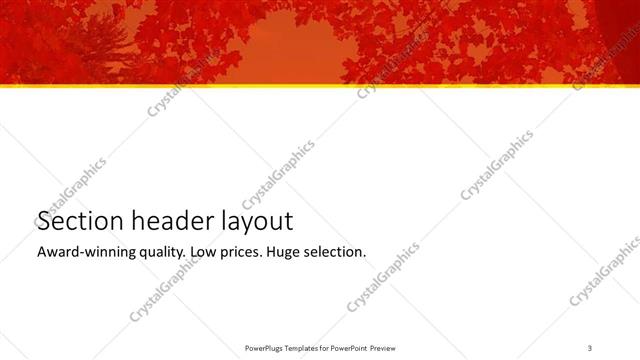Section Header presentation slide layout