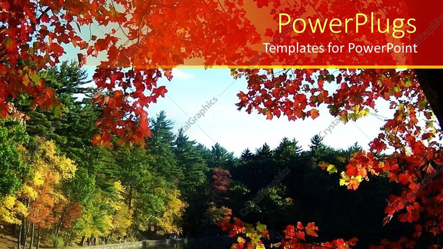 Premium Template for PowerPoint & Google Slides 