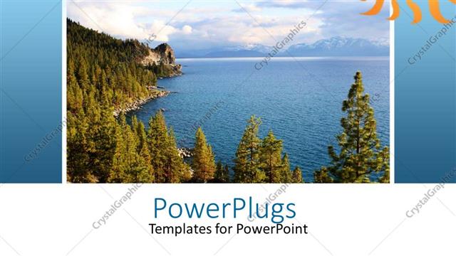  Presentation with scene - A number of trees on the beach with clouds in the background