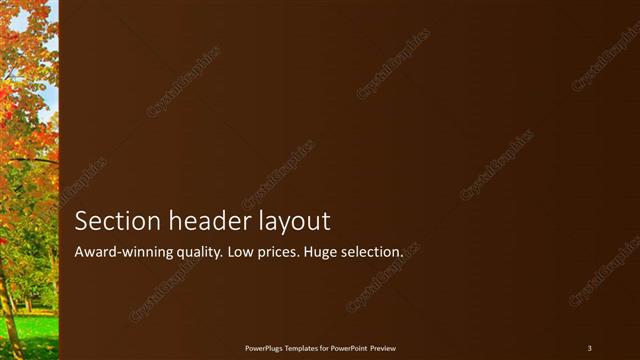 Section Header presentation slide layout