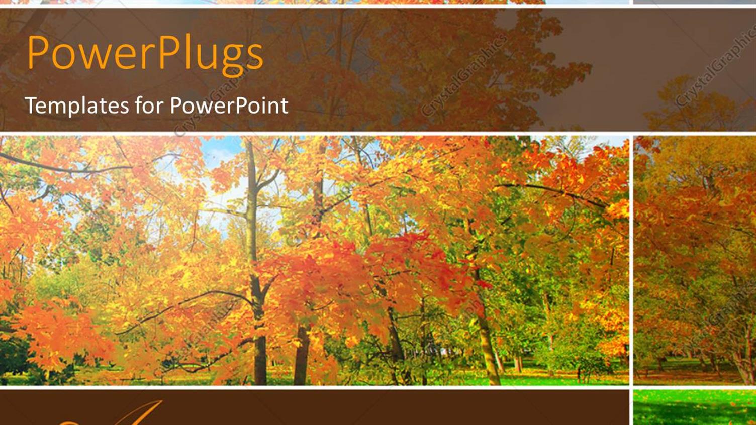 Premium Template for PowerPoint & Google Slides 