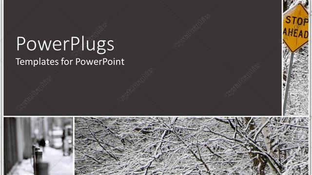  Presentation with fall - A number of trees in the fall