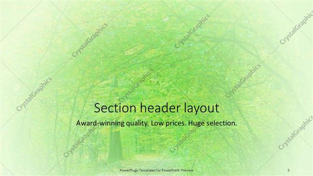 Section Header presentation slide layout