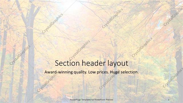 Section Header presentation slide layout