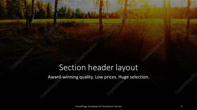 Section Header presentation slide layout