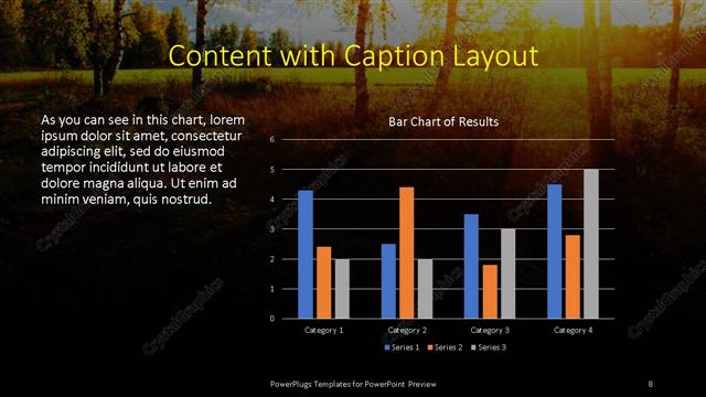 Content with Caption presentation slide layout