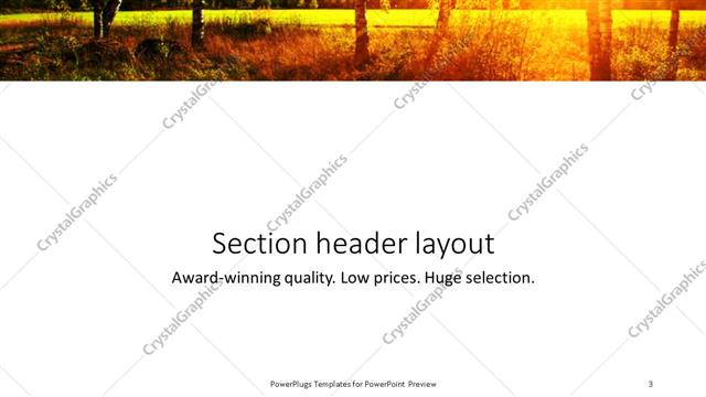 Section Header presentation slide layout