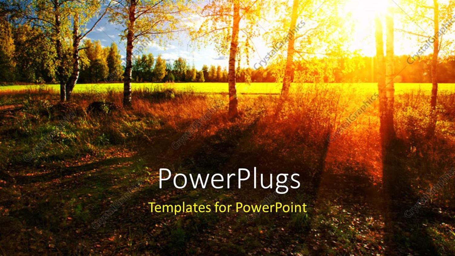 Premium Template for PowerPoint & Google Slides 