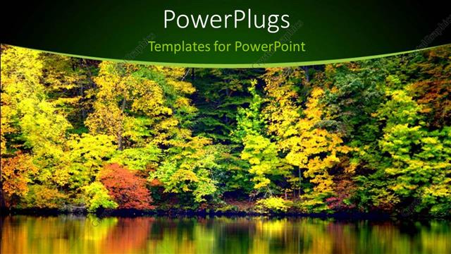  Presentation with trees - A number of trees with a lake