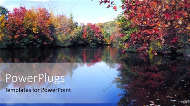  Presentation with trees - A number of trees with a lake in the middle