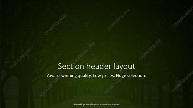 Section Header presentation slide layout