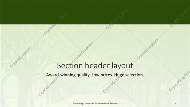 Section Header presentation slide layout
