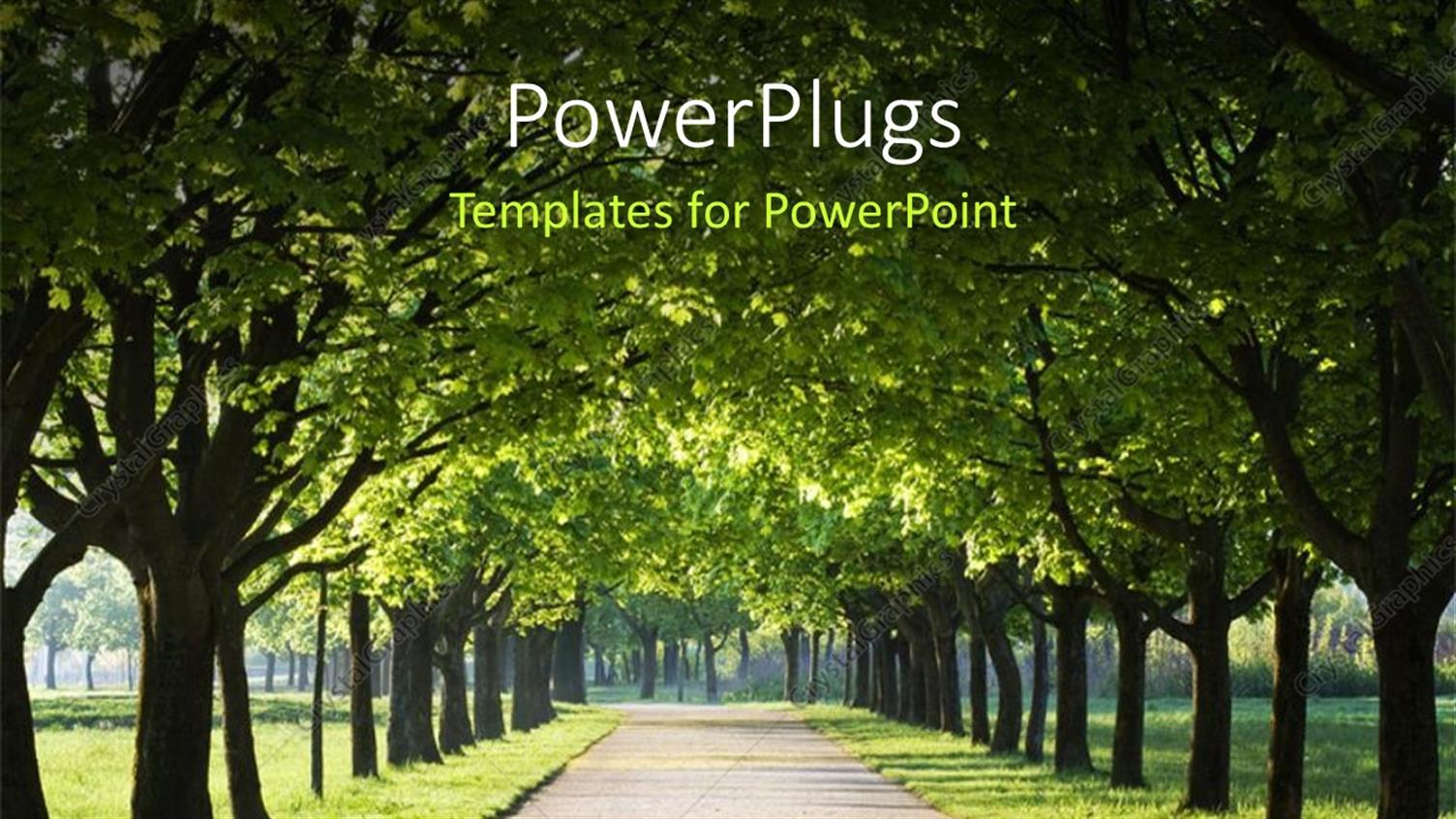 Premium Template for PowerPoint & Google Slides 