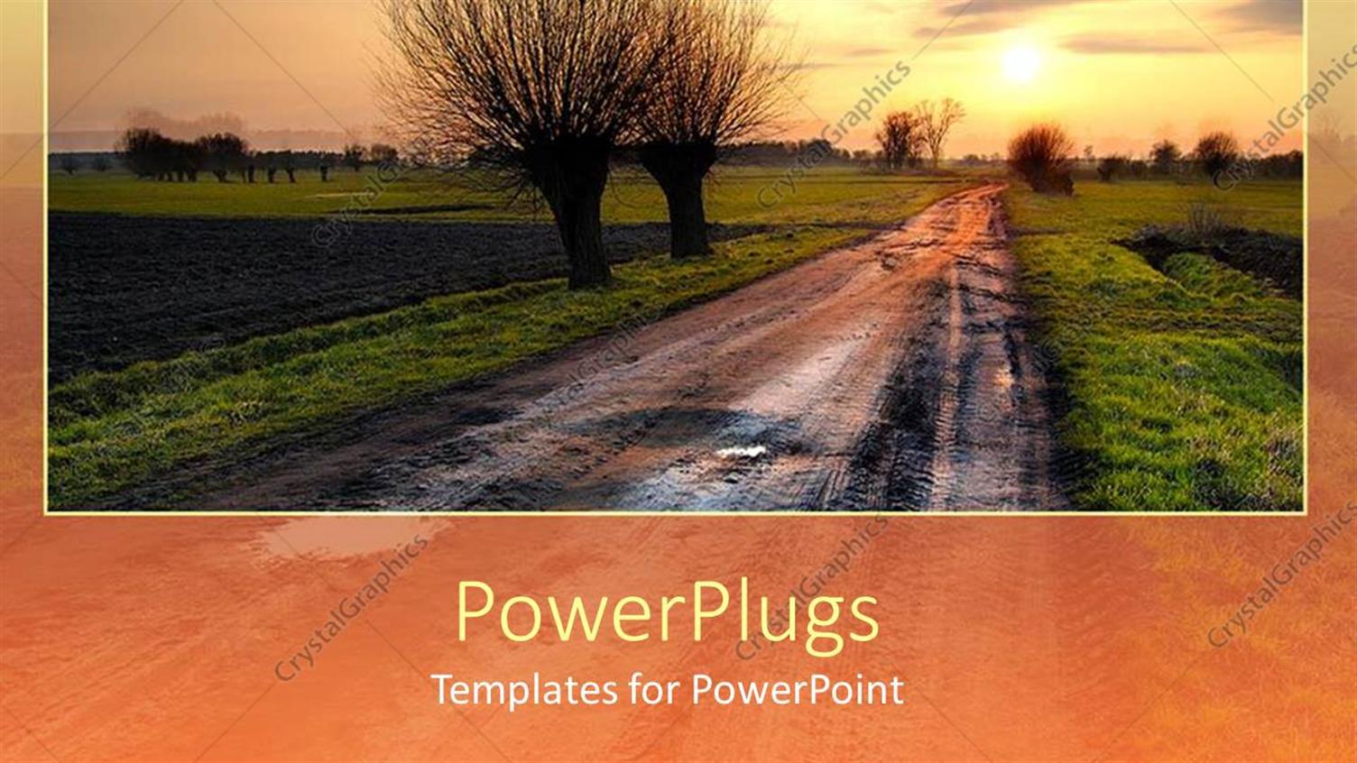 Premium Template for PowerPoint & Google Slides 