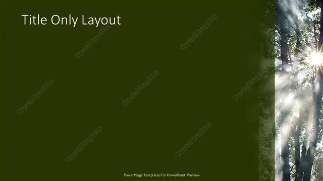 Title Only presentation slide layout